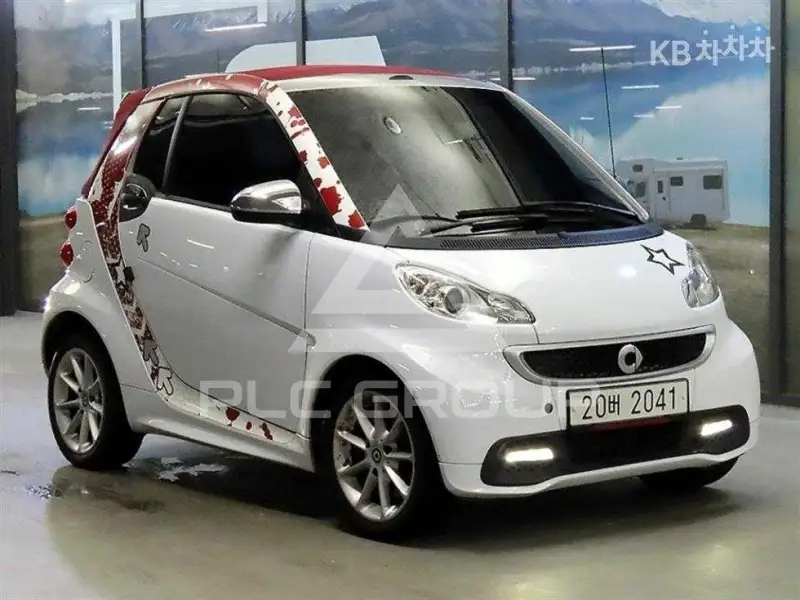 2013 Smart Porto