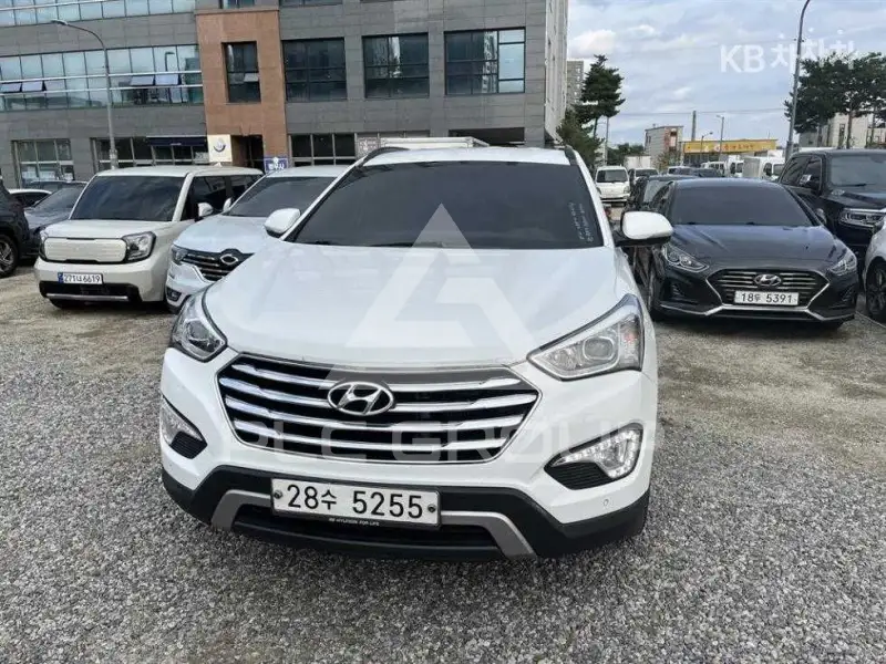 2014 Hyundai Maxcruz