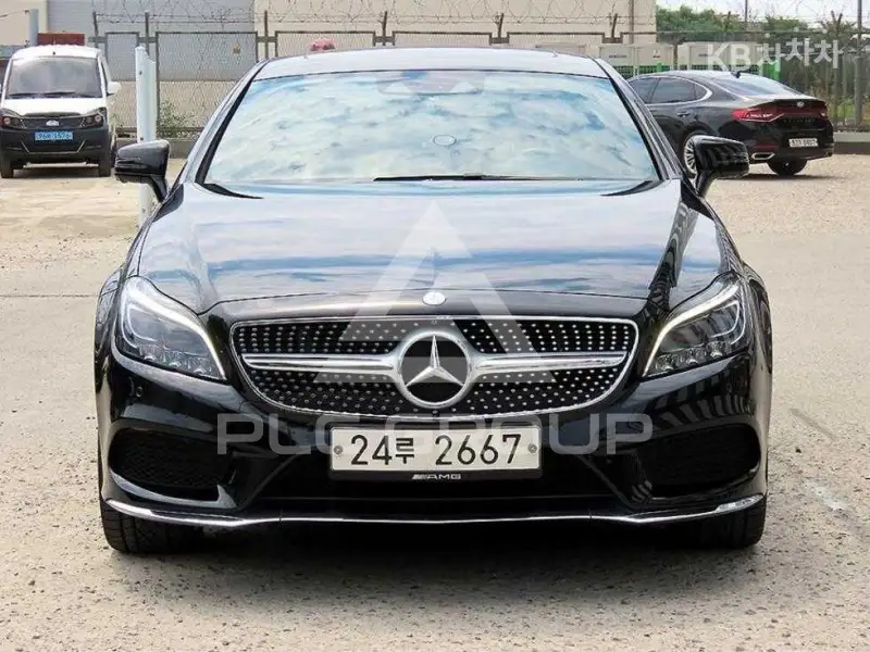 2014 Mercedes Benz CLS-Class