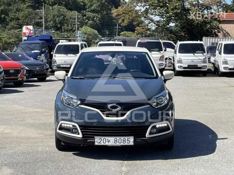 2015 Renault Samsung QM3