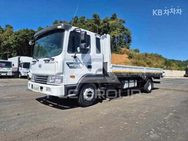 2015 Hyundai TRUCK