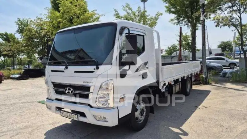 2015 Hyundai Mighty