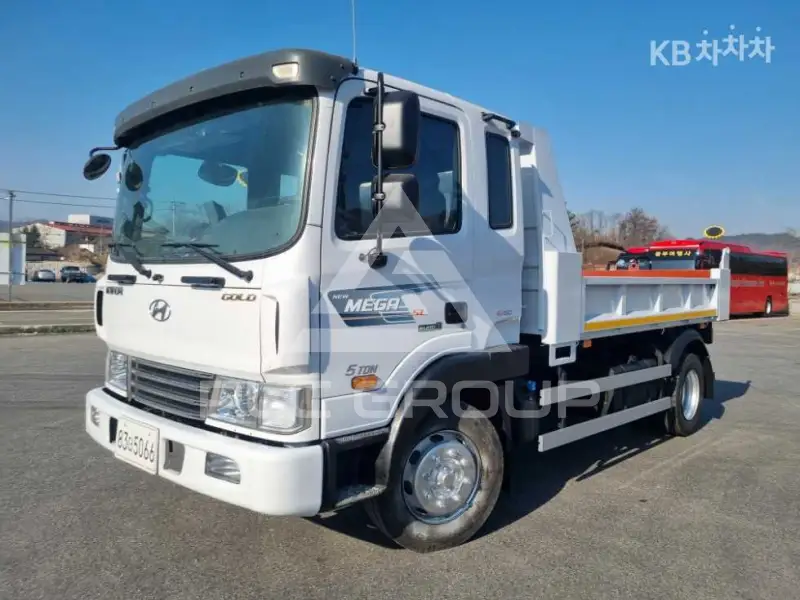2016 Hyundai Mega truck