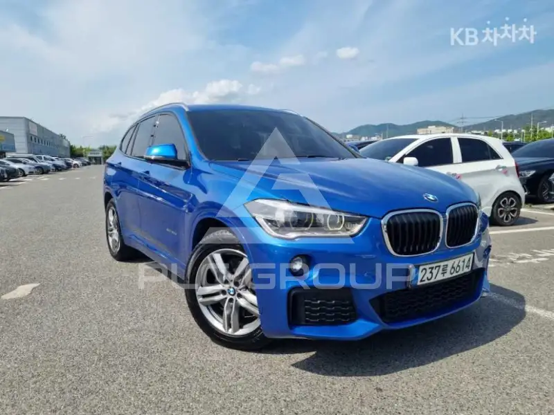 2017 BMW X1