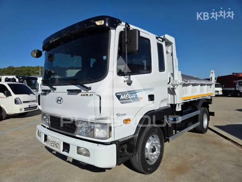2017 Hyundai TRUCK