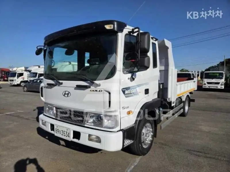 2017 Hyundai TRUCK