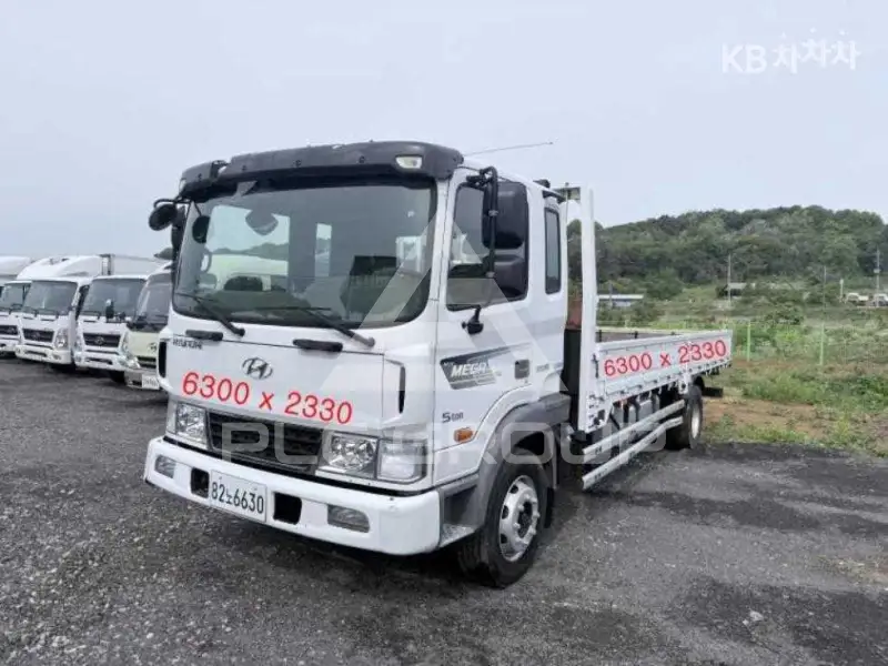 2017 Hyundai TRUCK
