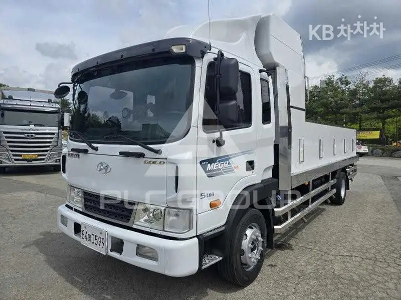 2017 Hyundai Mega truck
