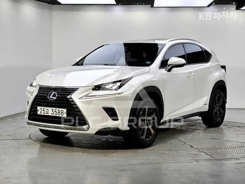 2017 Lexus NX