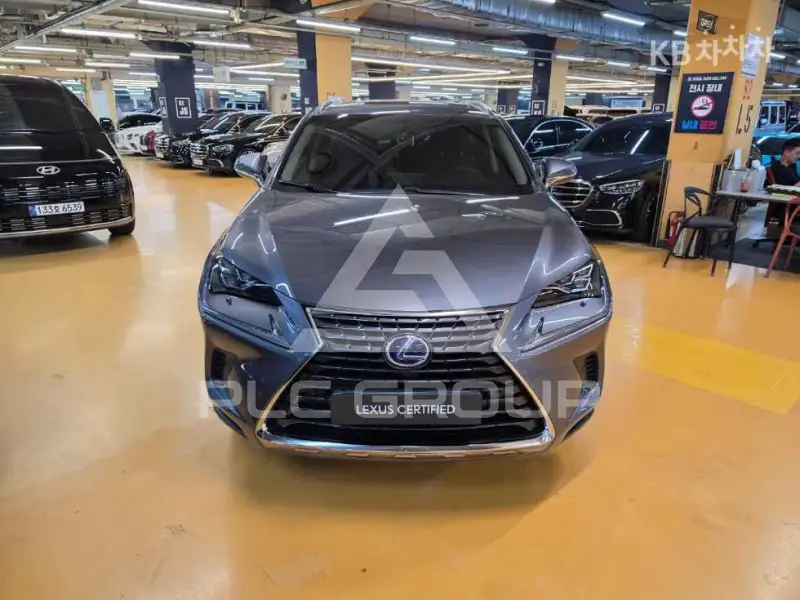 2017 Lexus NX