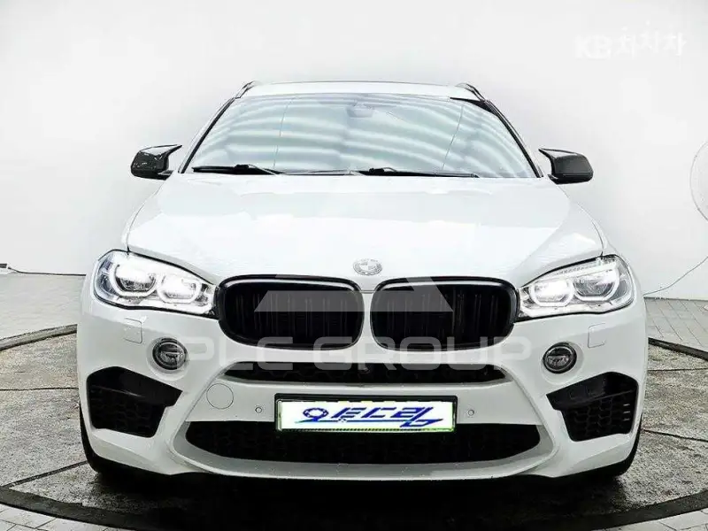 2018 BMW X6