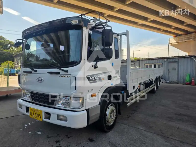 2018 Hyundai Mega truck