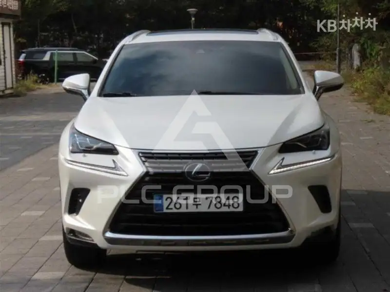 2018 Lexus NX