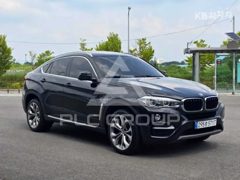 2019 BMW X6