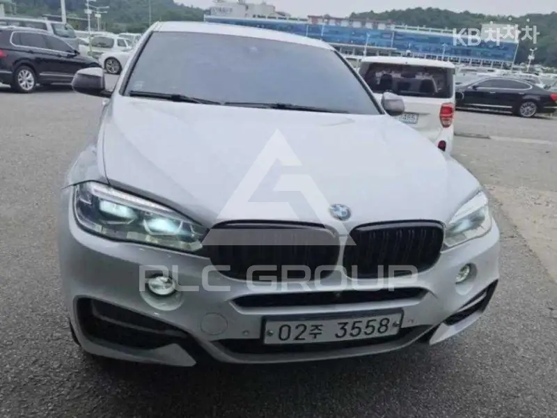 2019 BMW X6