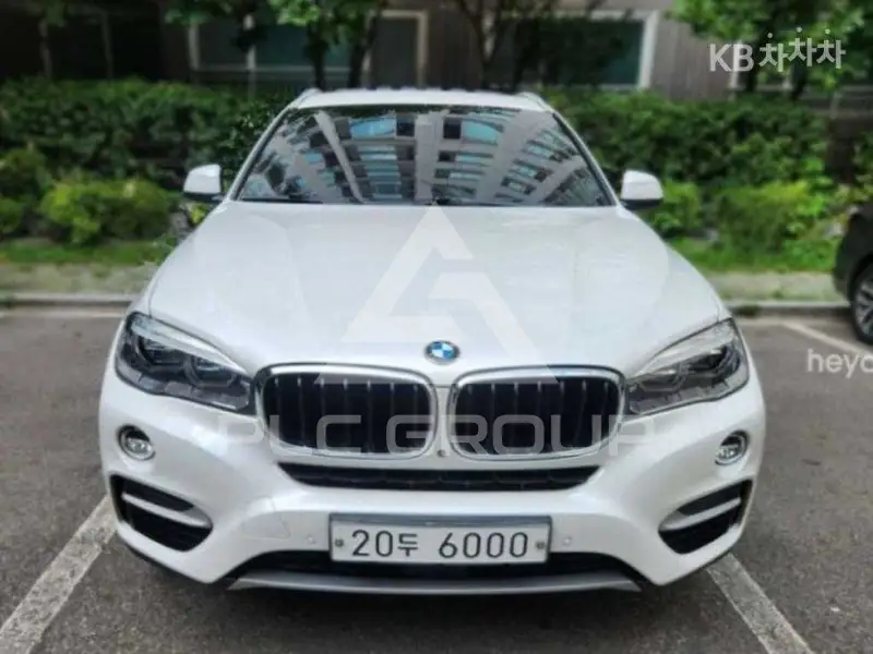2019 BMW X6