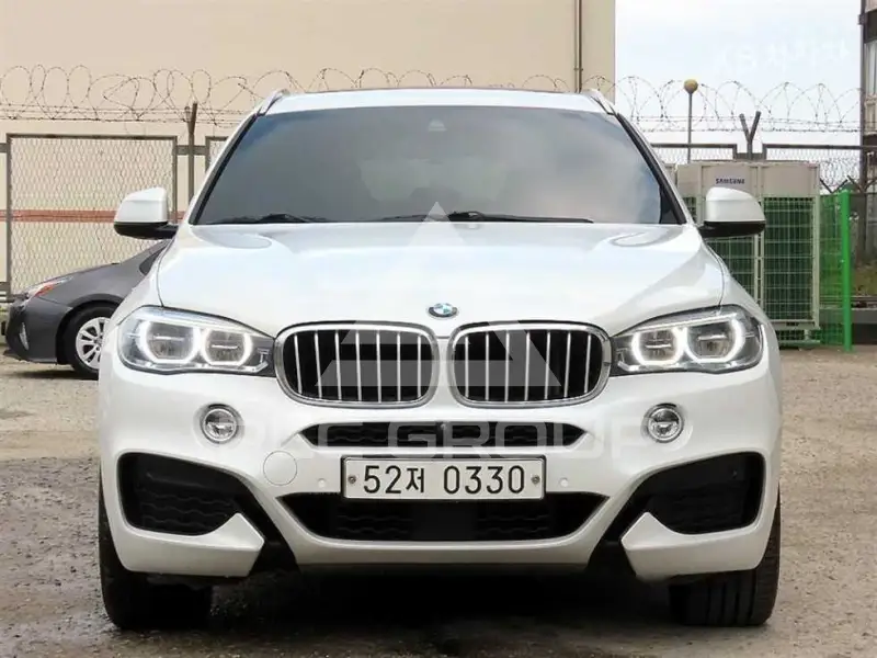 2019 BMW X6