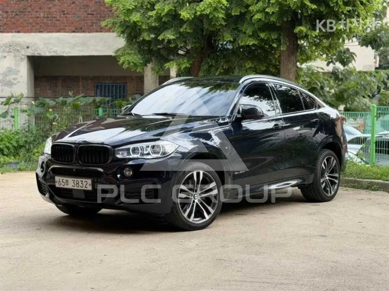 2019 BMW X6