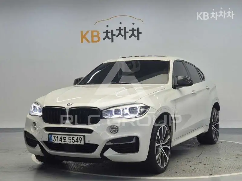 2019 BMW X6