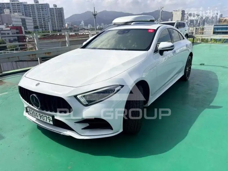 2019 Mercedes Benz CLS-Class