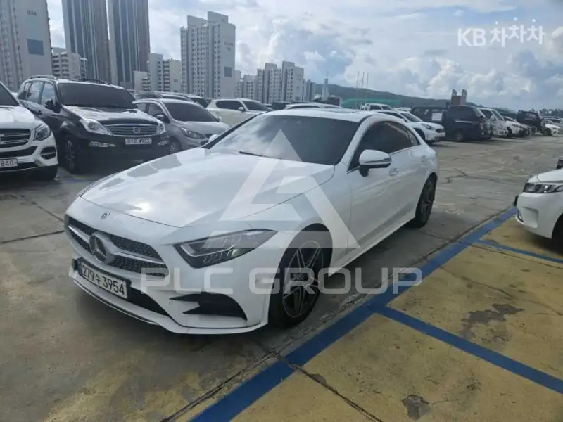 2019 Mercedes Benz CLS-Class