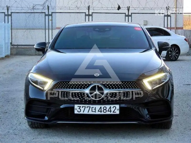 2019 Mercedes Benz CLS-Class
