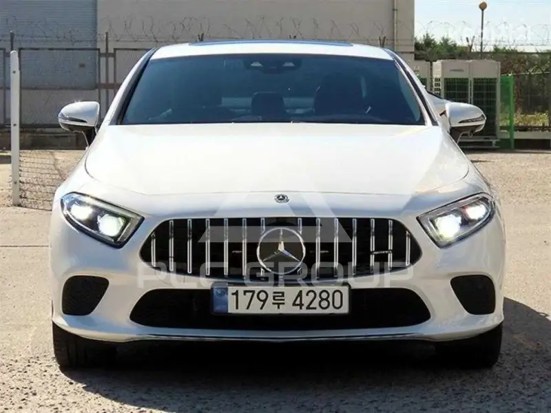 2019 Mercedes Benz CLS-Class
