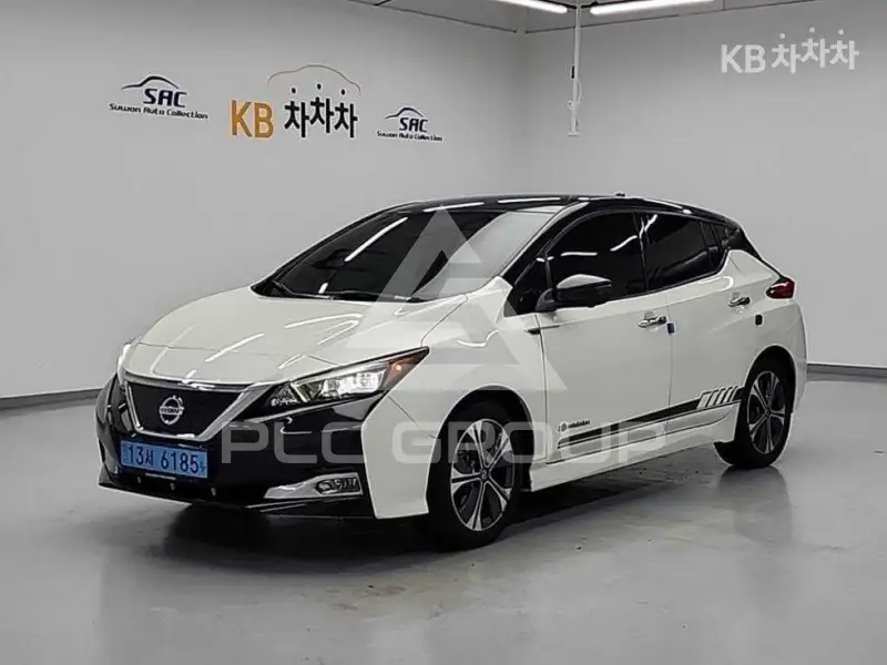 2019 Nissan Leaf