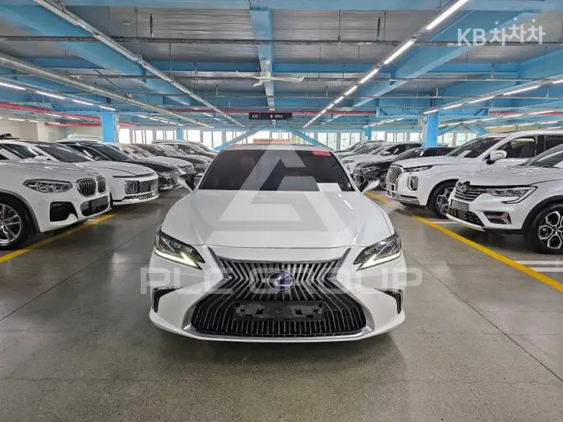 2019 Lexus ES