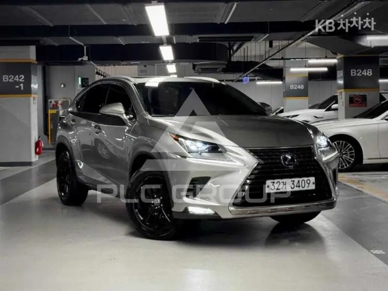 2019 Lexus NX