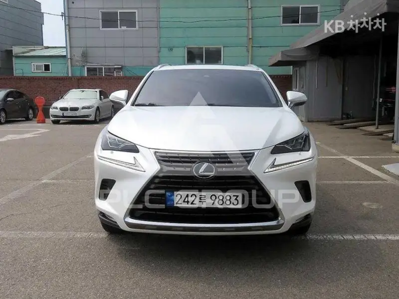 2019 Lexus NX