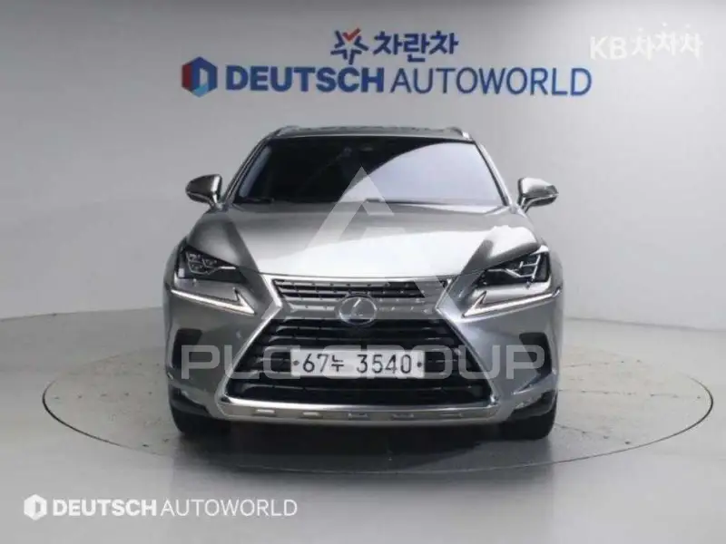 2019 Lexus NX