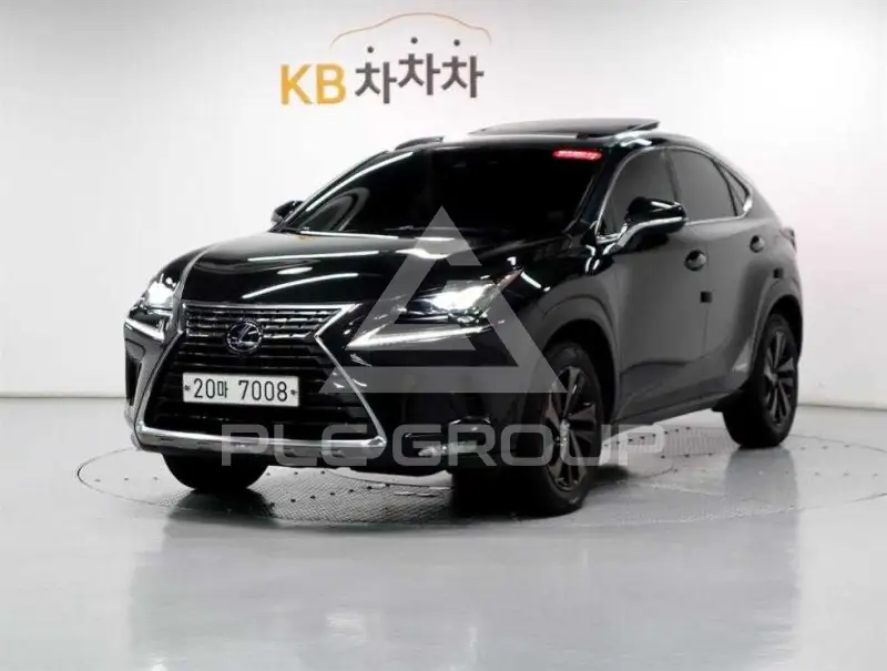 2019 Lexus NX