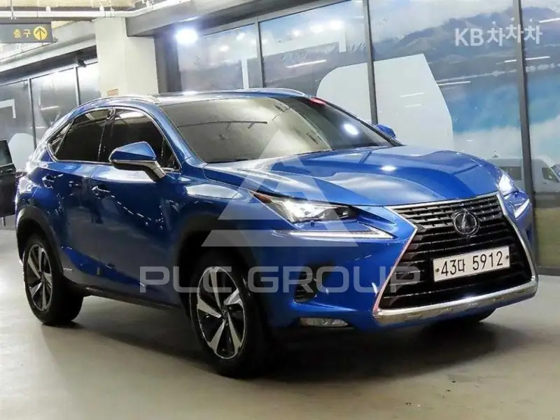 2019 Lexus NX