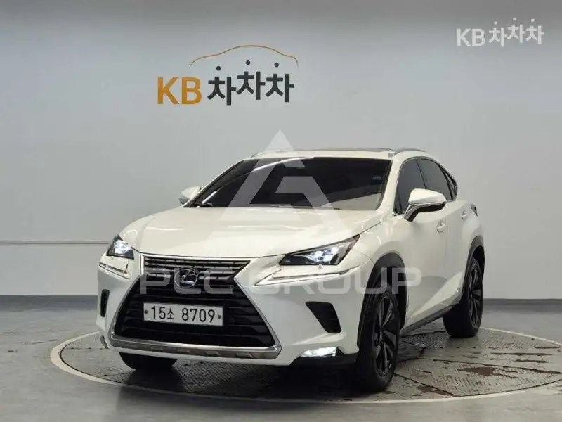 2019 Lexus NX