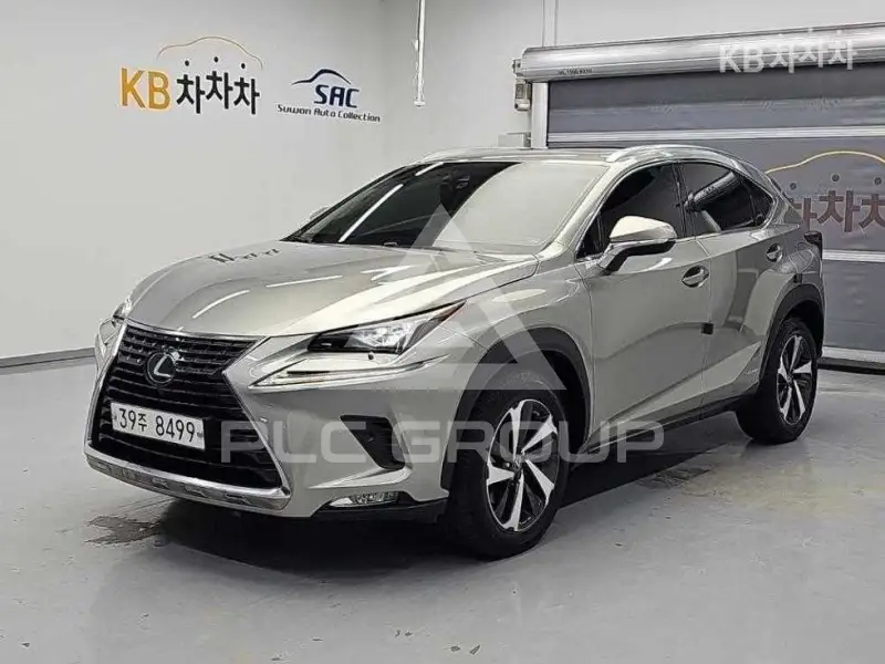 2019 Lexus NX