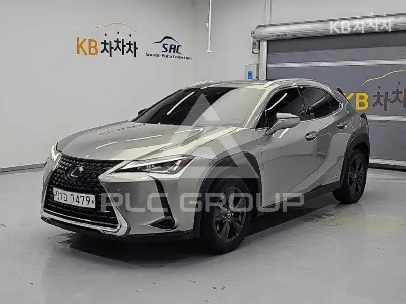 2019 Lexus UX
