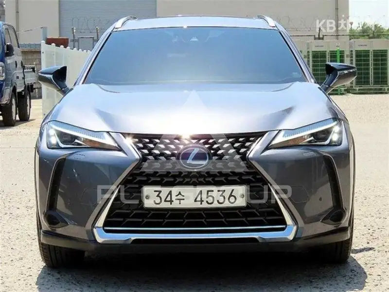 2019 Lexus UX