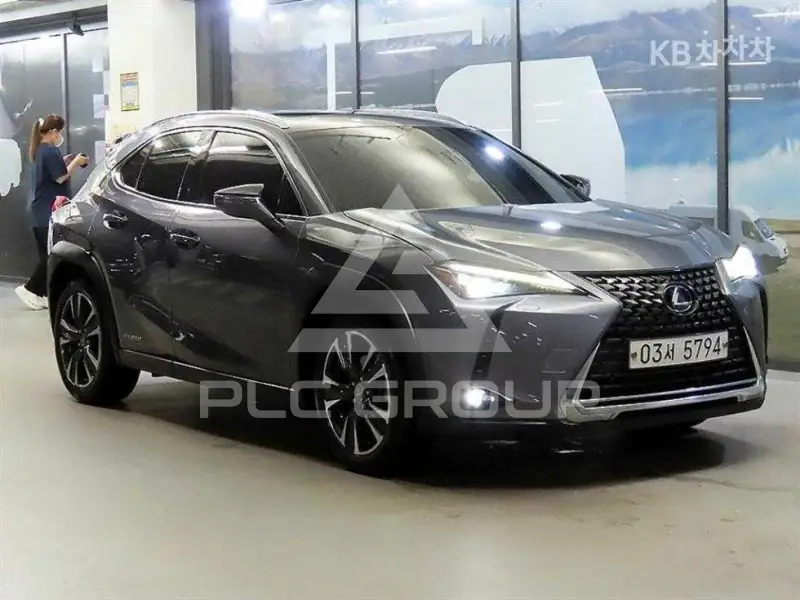 2019 Lexus UX