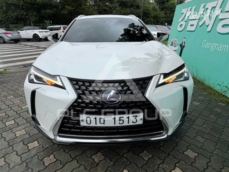 2019 Lexus UX