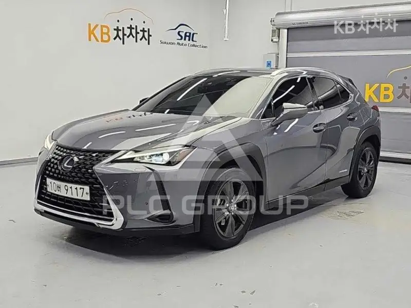 2019 Lexus UX