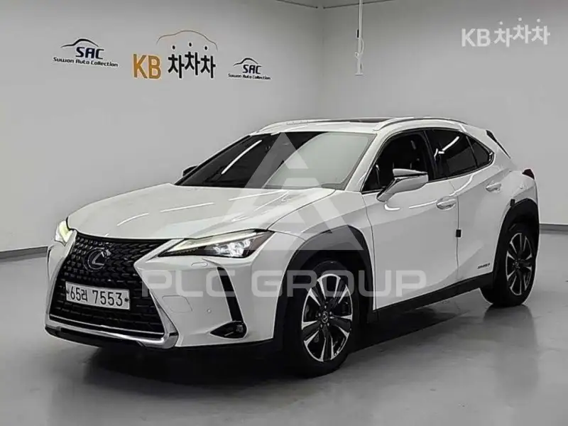 2019 Lexus UX