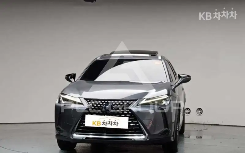 2019 Lexus UX