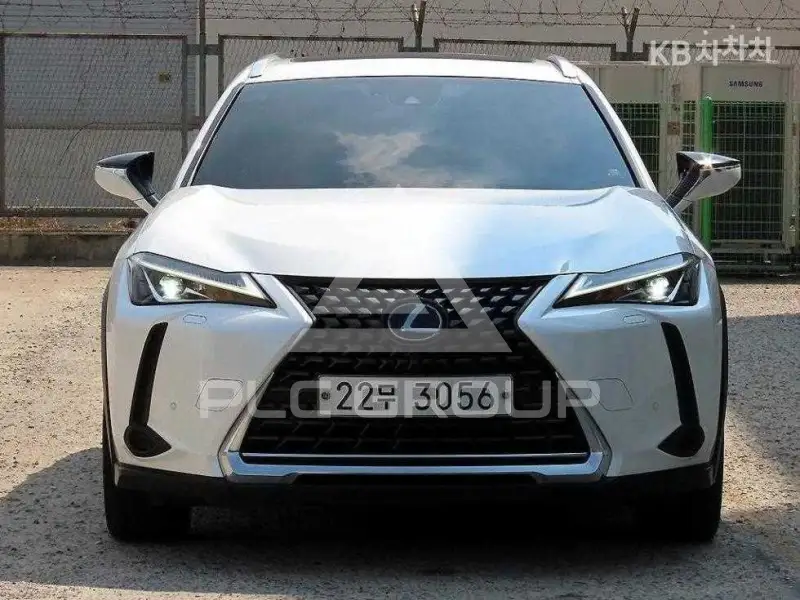 2019 Lexus UX