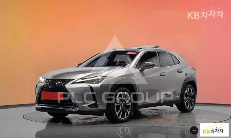 2019 Lexus UX