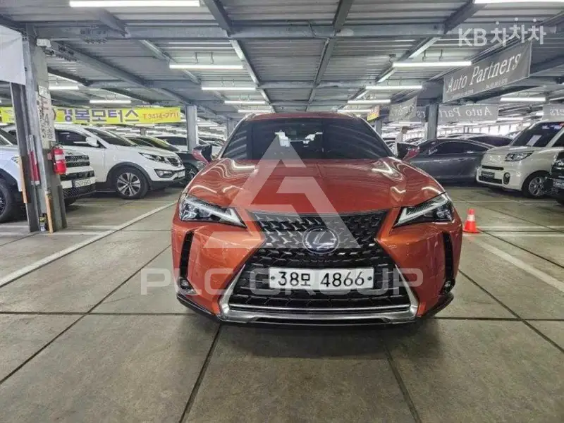 2019 Lexus UX