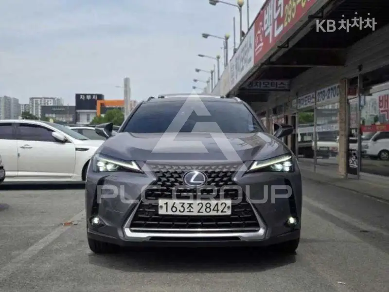 2019 Lexus UX