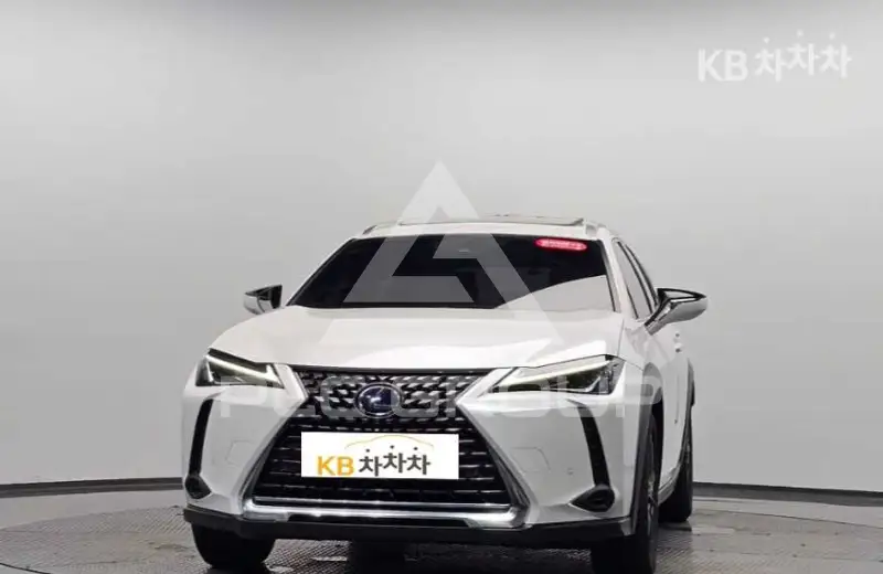 2019 Lexus UX