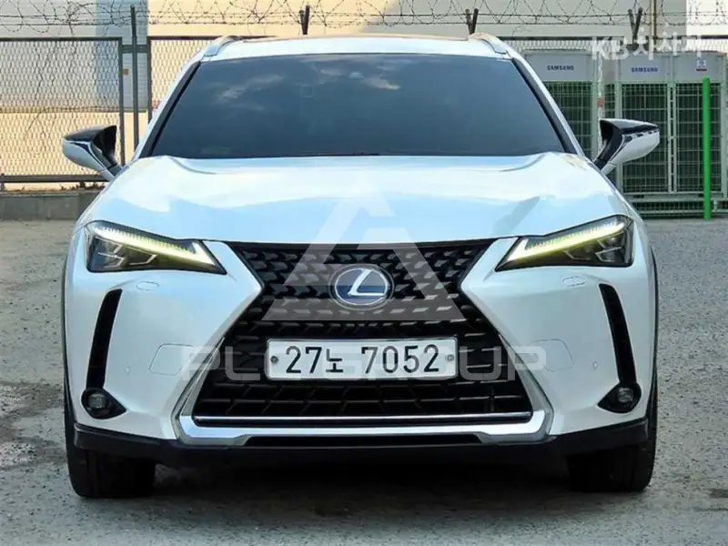 2019 Lexus UX