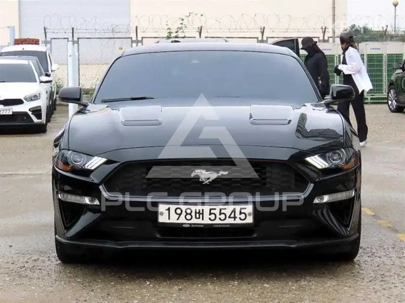 2019 Ford Mustang